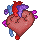 human heart